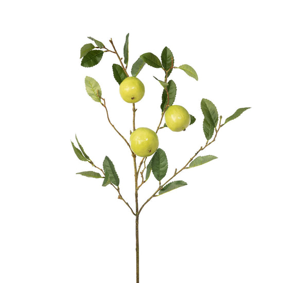 Park Hill Collection - Quince Fruit Branch